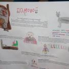 18156775_744876422356953_7910836588879240515_o