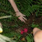 19222879_783209608523634_233302659641139573_o