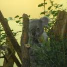 Экскурсии 2 ноября 2013